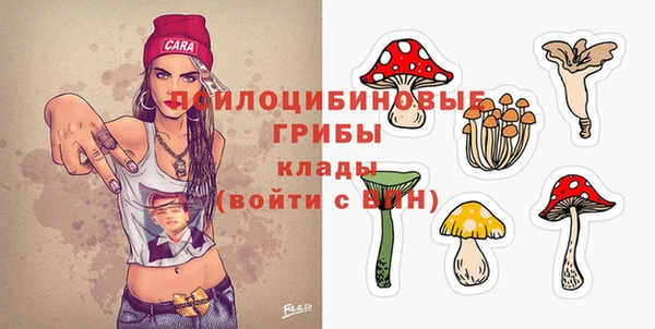 метадон Нея