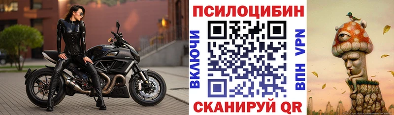 Галлюциногенные грибы мицелий  МЕГА tor  Починок  где купить наркотик 